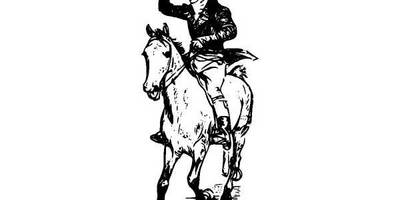 Животные 917