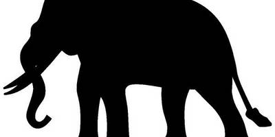 Животные 2151