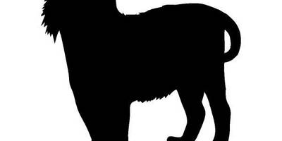 Животные 702