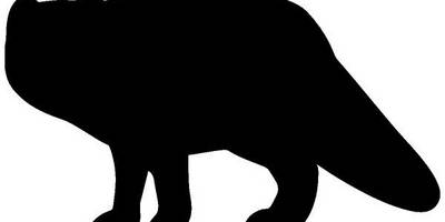 Животные 1285