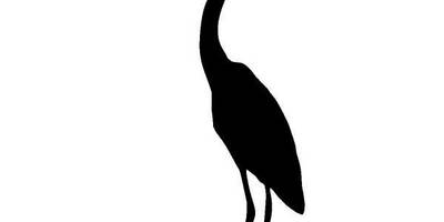 Животные 1281