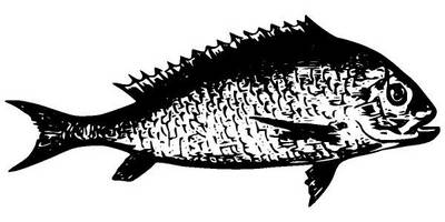 Животные 2673