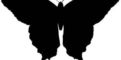 Животные 1447