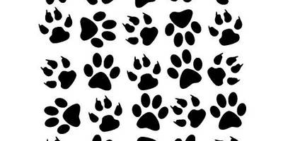 Животные 3096