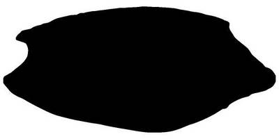 Животные 3074