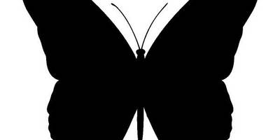 Животные 3086