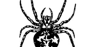 Животные 3857