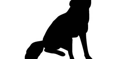 Животные 235