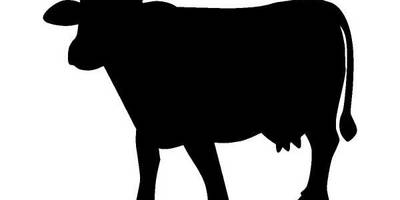 Животные 137