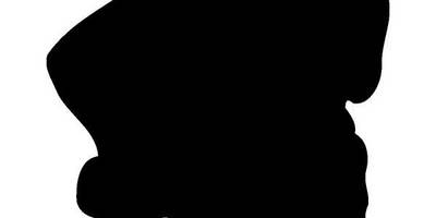 Животные 1559