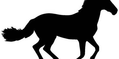 Животные 4220