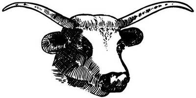 Животные 2382