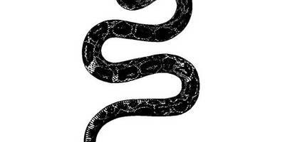 Животные 2802