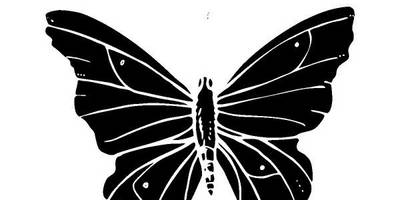 Животные 3135