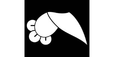 Японский узор 2554