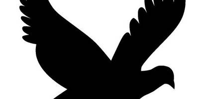 Животные 4239