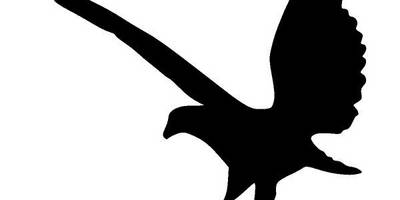 Животные 1575