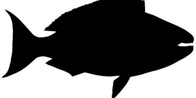 Животные 2904