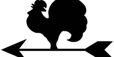 Животные 3549