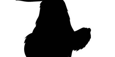 Животные 390