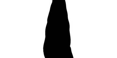 Животные 3988