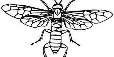 Животные 2608