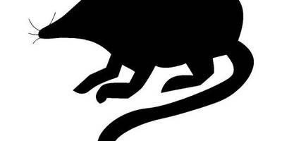 Животные 747