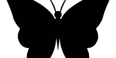 Животные 3012