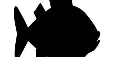 Животные 1626