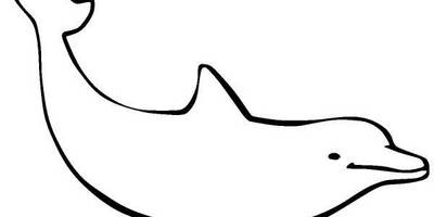 Животные 1147