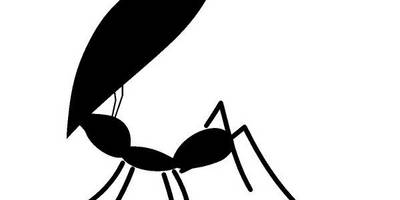 Животные 1554