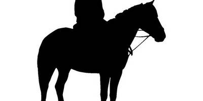 Животные 3561