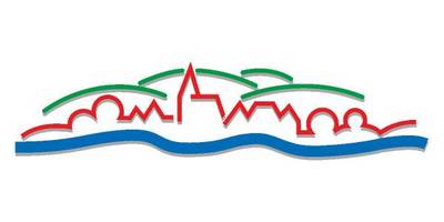 Виниловая наклейка на авто 532