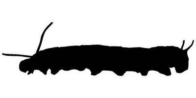 Животные 2723