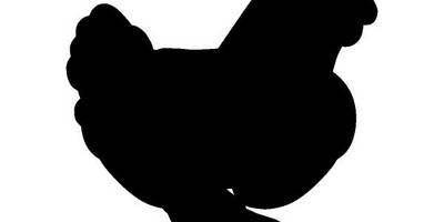 Животные 2067