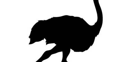 Животные 2986