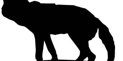 Животные 326