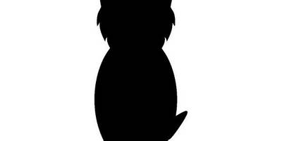 Животные 1572