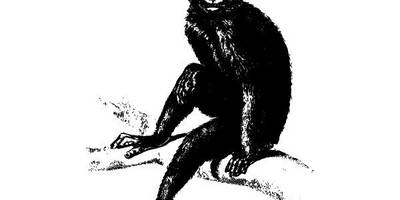 Животные 2817