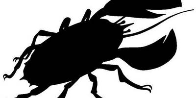 Животные 3444