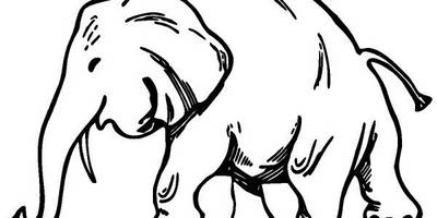 Животные 3822