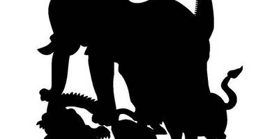 Животные 3000