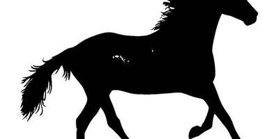 Животные 2660