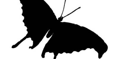 Животные 806