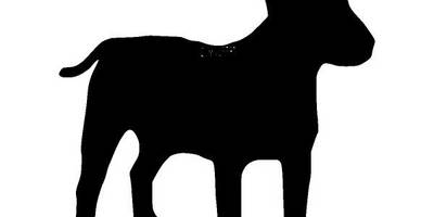 Животные 730