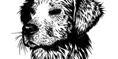 Животные 3352