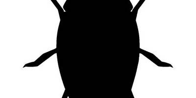 Животные 3057