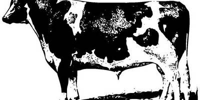 Животные 196