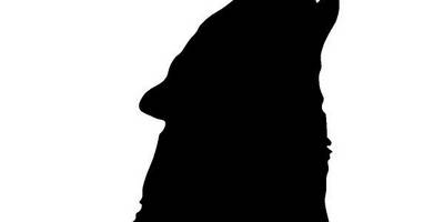 Животные 188