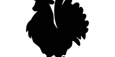 Животные 1221